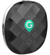 GeoZilla Tracker